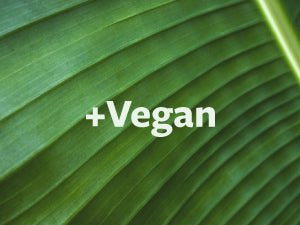 Harnessing the Power of Black Seeds Oil - Happy Years